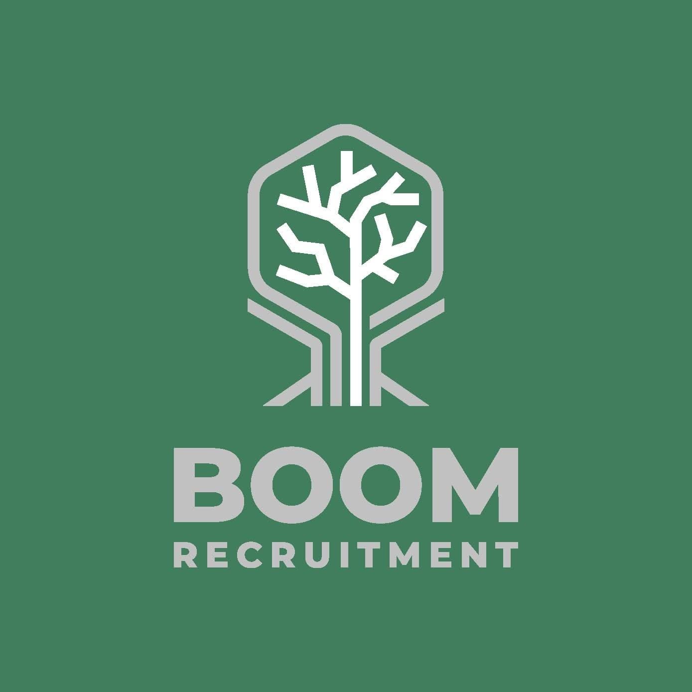 Boom recruitment NL