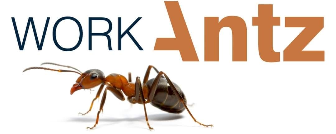 Work Antz