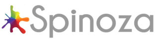 Spinoza Training & Coaching