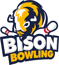 Bison Bowling - Haarlem