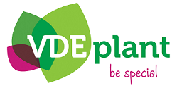 VDE Plant B.V.