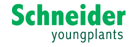 Schneider Youngplants