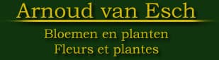 Van Esch Plantes