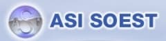 ASI Soest BV