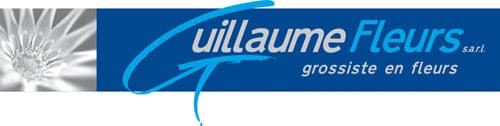 Guillaume Coin