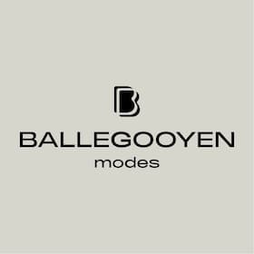 Ballegooyen Modes