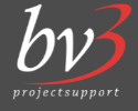 bv3 projectsupport